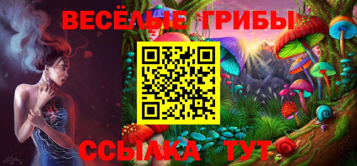 Псилоцибиновые грибы Cubensis  Вход с VPN  Кингисепп 