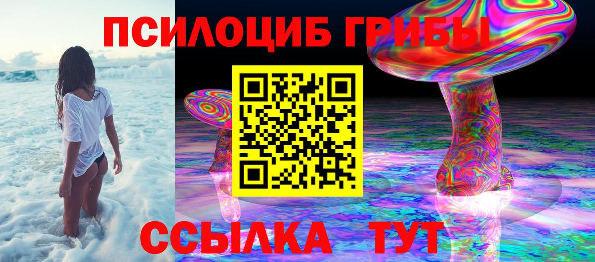 Галлюциногенные грибы Cubensis Кингисепп